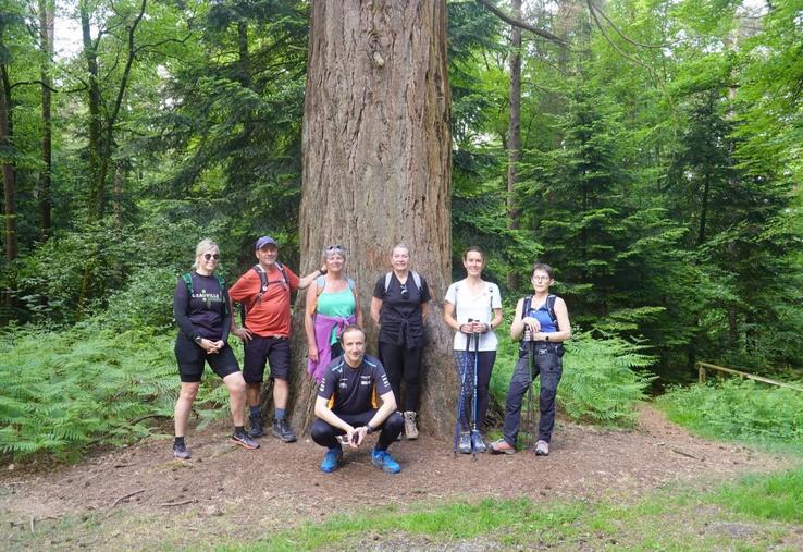 Nadine Andreau organise des randonnées en forêt de Perseigne. Elle peut compter sur une ancienne collègue du Cefiga à la retraite, Marie-Claire Grouas (à droite) qui l'accompagne sur ses randos ("ma première Fan").