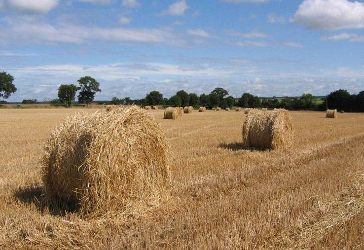 Côté stocks de paille, la situation est tendue mais pas désespérée, même si en trouver est compliqué car il y a moins de paille que prévu, moins de vendeurs.