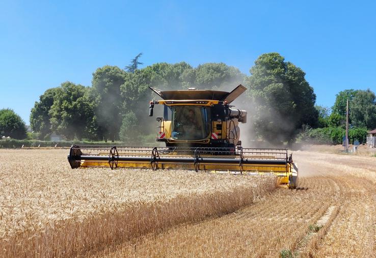 La moisson du blé a repris mercredi sur une parcelle du Gaec des Pins, à Yvré-le-Pôlin, avec une moissonneuse à rotor de la SAS Martin. Nicolas Couturier (à dr.), l'un des 5 associés du Gaec, conduisait la benne.