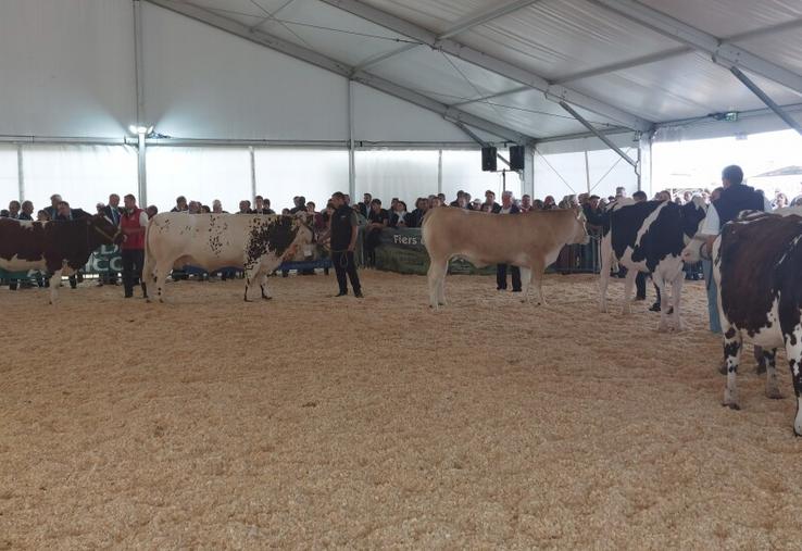 Défilé des races bovines et interpellation de la FDSEA sur le Mercosur lors de la visite officielle des 4 jours du Mans.
