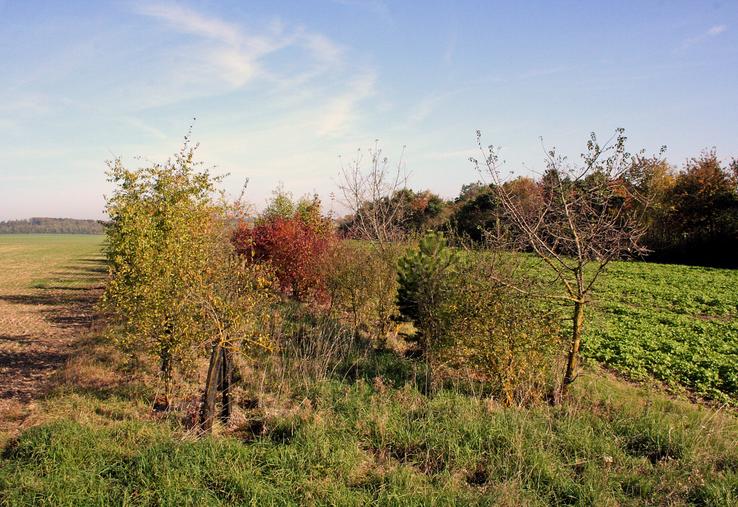 L'arrêté autorise l'accès aux parcelles " closes ou non closes ". L'administration affirme que ces inventaires ne sont qu'une " simple observation visuelle ".